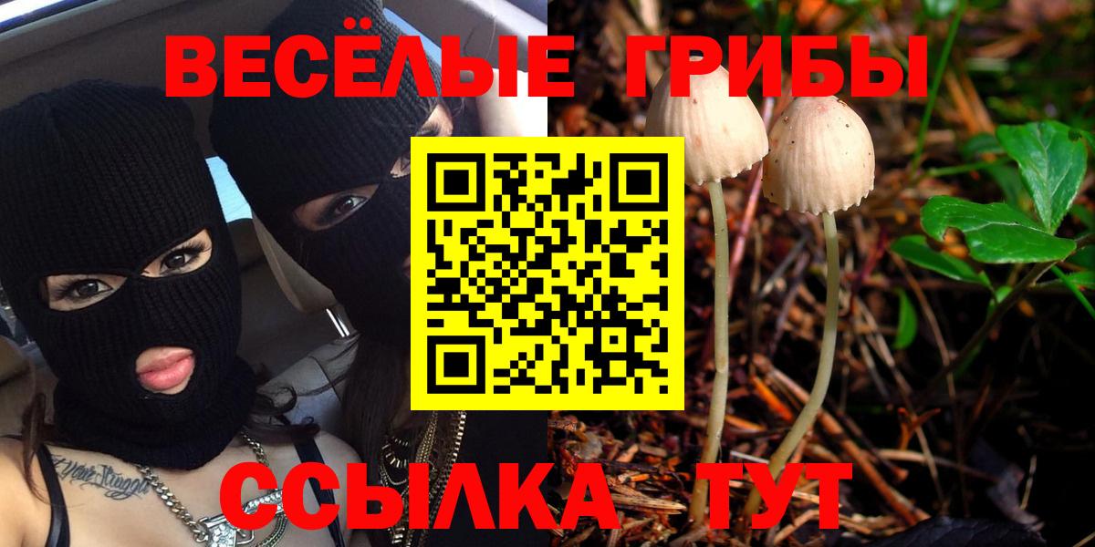 Псилоцибиновые грибы Psilocybine cubensis  Вход с VPN  что такое наркотик  Зеленокумск 