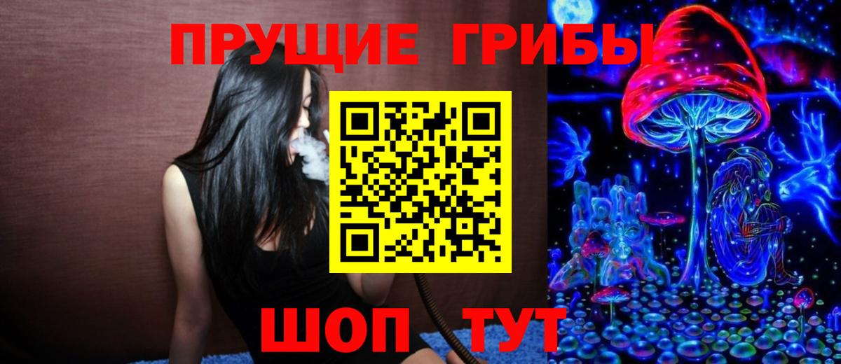 Галлюциногенные грибы Psilocybe Зеленокумск